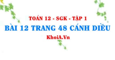 Bài 12 trang 48 Toán 12 tập 1 Cánh Diều